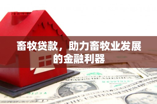 开鲁畜牧贷款，助力畜牧业发展的金融利器