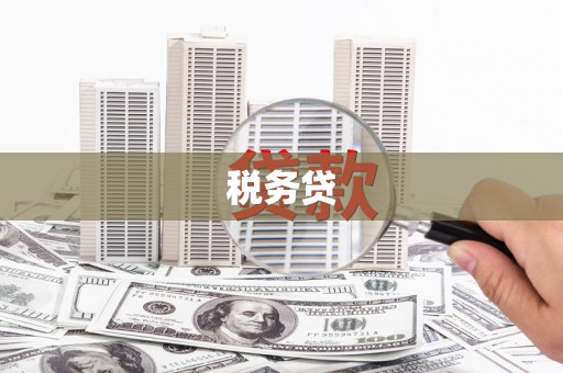 开鲁税务贷