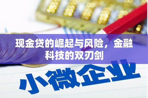 开鲁现金贷的崛起与风险，金融科技的双刃剑