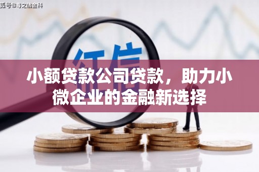 开鲁小额贷款公司贷款，助力小微企业的金融新选择