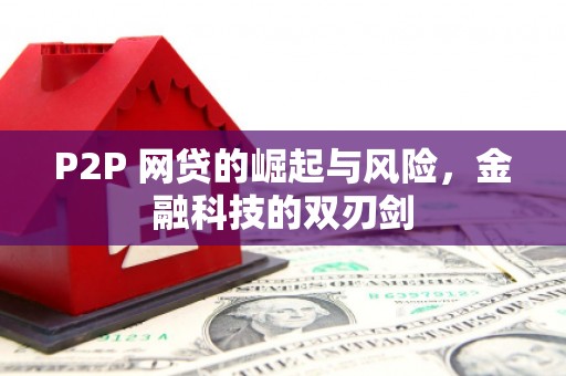 开鲁P2P 网贷的崛起与风险，金融科技的双刃剑