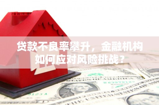 开鲁贷款不良率攀升，金融机构如何应对风险挑战？