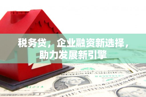 开鲁税务贷，企业融资新选择，助力发展新引擎