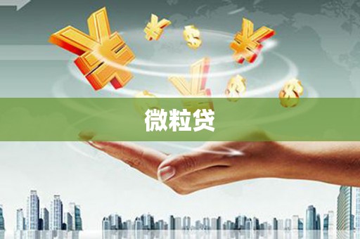 开鲁微粒贷