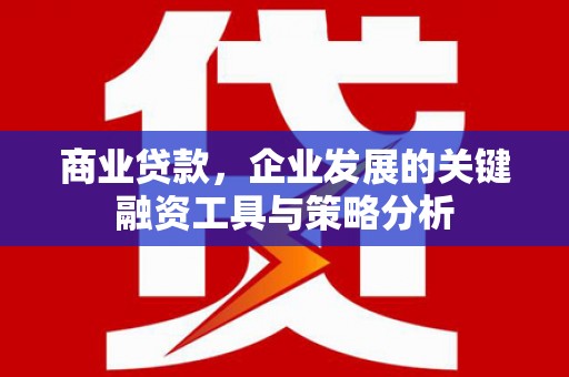 开鲁商业贷款，企业发展的关键融资工具与策略分析