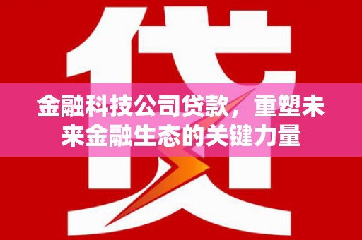 开鲁金融科技公司贷款，重塑未来金融生态的关键力量
