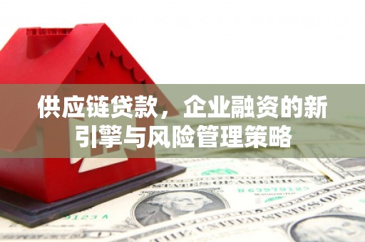 开鲁供应链贷款，企业融资的新引擎与风险管理策略