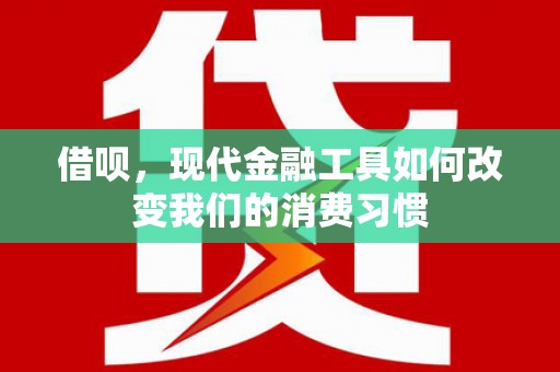 开鲁借呗，现代金融工具如何改变我们的消费习惯