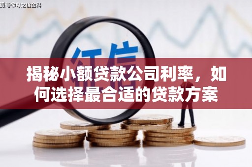 开鲁揭秘小额贷款公司利率，如何选择最合适的贷款方案