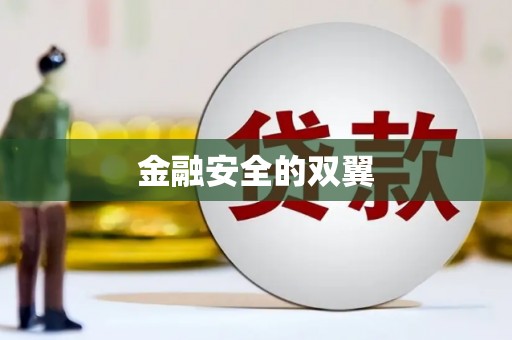 开鲁金融安全的双翼
