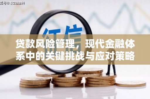 开鲁贷款风险管理，现代金融体系中的关键挑战与应对策略