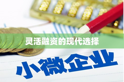 开鲁灵活融资的现代选择