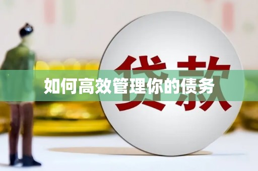 开鲁如何高效管理你的债务